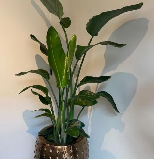 We Regularly Upload Photos.